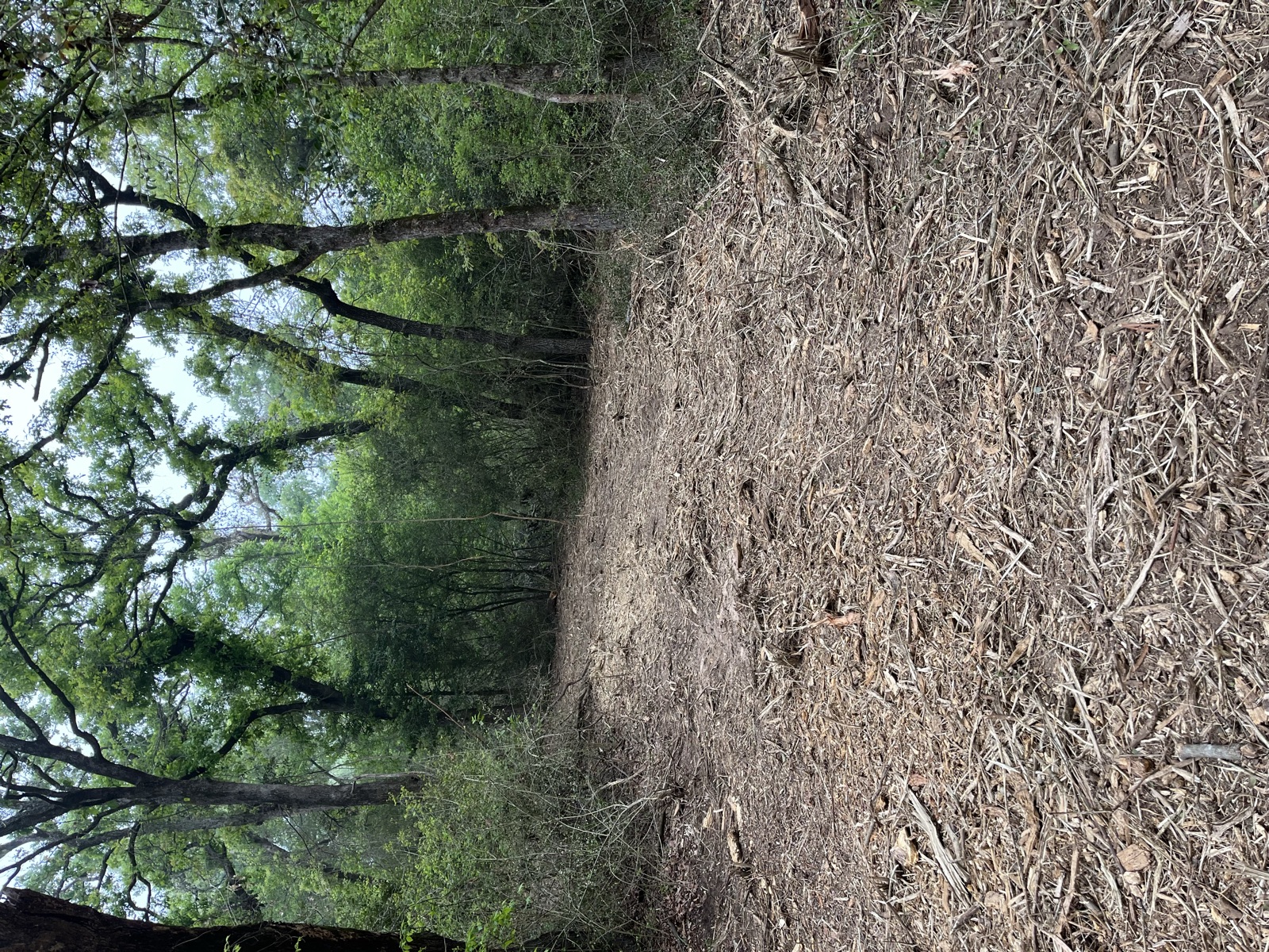 Finished mulched surface