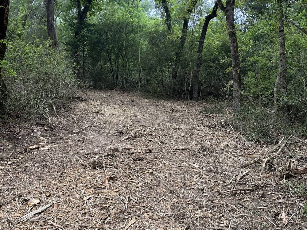 Finished mulched surface after clearing