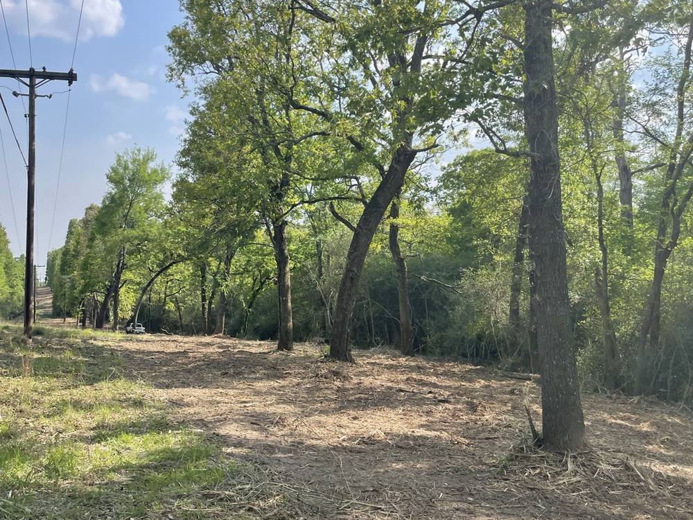 Property after clearing and mulching